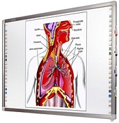 iboard 88_` tablica inetraktywna.jpg
